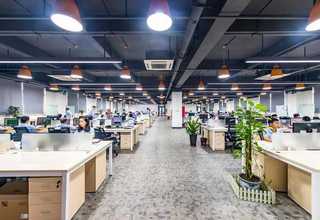 上海公司绿化环境