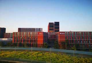 河北Mastiff剪草机价钱