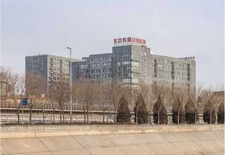 绿植租赁多少钱