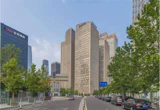 绿植仿真植物不褪色